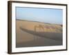 Essaouira Beach Camel Shadows, Morocco, North Africa, Africa-Charles Bowman-Framed Photographic Print