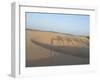 Essaouira Beach Camel Shadows, Morocco, North Africa, Africa-Charles Bowman-Framed Photographic Print