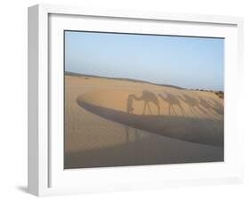 Essaouira Beach Camel Shadows, Morocco, North Africa, Africa-Charles Bowman-Framed Photographic Print