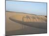 Essaouira Beach Camel Shadows, Morocco, North Africa, Africa-Charles Bowman-Mounted Photographic Print