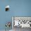 Essaouira, Morocco. Seagulls flying over a boat-Jolly Sienda-Photographic Print displayed on a wall