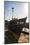 Essaouira, Morocco. Seagulls flying over a boat-Jolly Sienda-Mounted Photographic Print