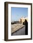 Essaouira, Morocco. Watching the sea and a seagull-Jolly Sienda-Framed Photographic Print