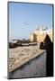 Essaouira, Morocco. Watching the sea and a seagull-Jolly Sienda-Mounted Photographic Print