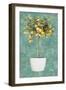 Essential Compliment I-Patricia Pinto-Framed Premium Giclee Print
