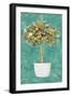 Essential Compliment II-Patricia Pinto-Framed Art Print