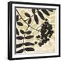 Essential Elements 1-Melissa Pluch-Framed Art Print