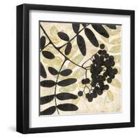 Essential Elements 1-Melissa Pluch-Framed Art Print