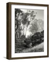 Essential Oils Redux-Geoffrey Ansel Agrons-Framed Giclee Print