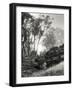 Essential Oils Redux-Geoffrey Ansel Agrons-Framed Giclee Print