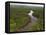 Essequibo River, Between the Orinoco and Amazon, Iwokrama Reserve, Guyana-Pete Oxford-Framed Stretched Canvas