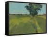 Essex Field-Paul Bailey-Framed Stretched Canvas