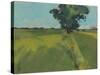 Essex Field-Paul Bailey-Stretched Canvas