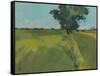 Essex Field-Paul Bailey-Framed Stretched Canvas