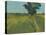 Essex Field-Paul Bailey-Stretched Canvas