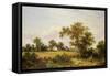 Essex Landscape-James Edwin Meadows-Framed Stretched Canvas