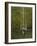 Essex Sailboat-Bruce Dumas-Framed Giclee Print