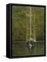 Essex Sailboat-Bruce Dumas-Framed Stretched Canvas