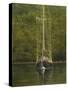 Essex Sailboat-Bruce Dumas-Stretched Canvas
