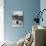 Estate Agent, Sidcup, Kent-null-Photographic Print displayed on a wall