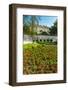 Estate and Flowers on the Promenade, Old Town Zadar, Dalmatian Coast, Croatia-Russ Bishop-Framed Photographic Print