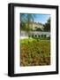 Estate and Flowers on the Promenade, Old Town Zadar, Dalmatian Coast, Croatia-Russ Bishop-Framed Photographic Print