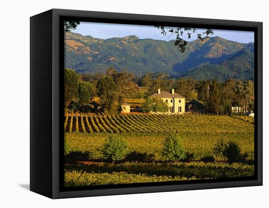 Estate and Vineyard, Napa Valley, California-John Alves-Framed Stretched Canvas