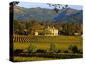 Estate and Vineyard, Napa Valley, California-John Alves-Stretched Canvas