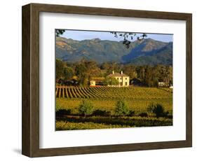 Estate and Vineyard, Napa Valley, California-John Alves-Framed Photographic Print