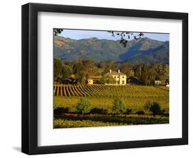 Estate and Vineyard, Napa Valley, California-John Alves-Framed Photographic Print