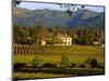 Estate and Vineyard, Napa Valley, California-John Alves-Mounted Photographic Print