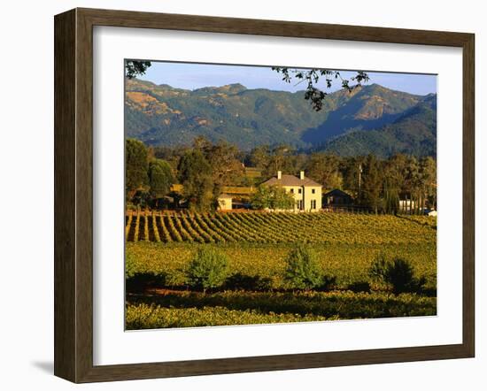 Estate and Vineyard, Napa Valley, California-John Alves-Framed Photographic Print