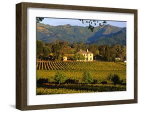 Estate and Vineyard, Napa Valley, California-John Alves-Framed Photographic Print