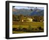 Estate and Vineyard, Napa Valley, California-John Alves-Framed Photographic Print