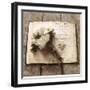 Estate Anemones-Cristin Atria-Framed Art Print