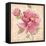 Estate Peony 1-Studio M-Framed Stretched Canvas