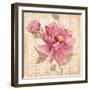 Estate Peony 1-Studio M-Framed Art Print