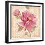 Estate Peony 1-Studio M-Framed Art Print