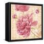 Estate Peony 2-null-Framed Stretched Canvas