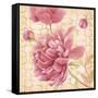 Estate Peony 2-null-Framed Stretched Canvas