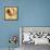 Estate Plumage-Laurel Lehman-Framed Stretched Canvas displayed on a wall
