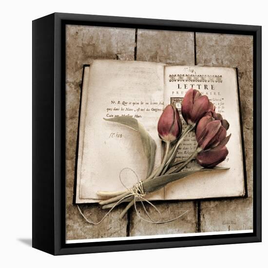 Estate Tulips-Cristin Atria-Framed Stretched Canvas