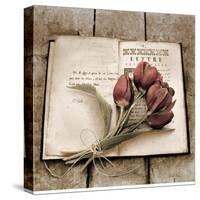 Estate Tulips-Cristin Atria-Stretched Canvas