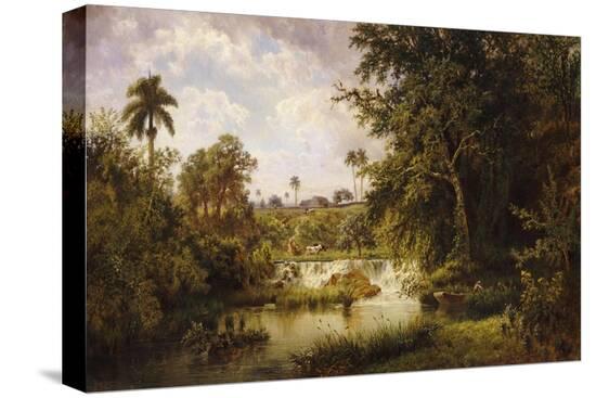 Stretched Canvas Print, , large