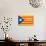 Estelada; Catalan Independence Flag-Juan Carlos B.-Art Print displayed on a wall