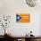 Estelada; Catalan Independence Flag-Juan Carlos B.-Mounted Art Print displayed on a wall