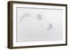 Estella rijnveld 1, 2013-Odile Kidd-Framed Giclee Print