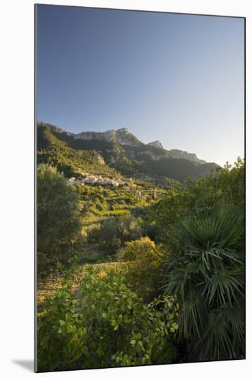 Estellencs, Majorca, the Balearic Islands, Spain-Rainer Mirau-Mounted Photographic Print