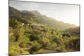 Estellencs, Majorca, the Balearic Islands, Spain-Rainer Mirau-Mounted Photographic Print