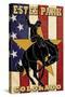 Estes Park, Colorado - Bucking Horse-Lantern Press-Stretched Canvas